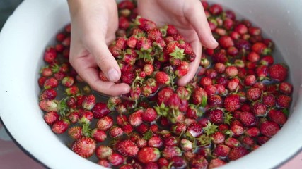 Child shows to the camera strawberries in his hands and put it back to water