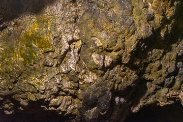 Inside Dambovicioara cave, Piatra Craiului  mountains, Piatra Craiului National ParkInside Dambovicioara cave, Piatra Craiului  mountains, Piatra Craiului National Park