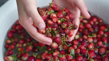 Child shows to the camera strawberries in his hands and put it back to water