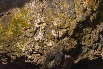 Inside Dambovicioara cave, Piatra Craiului  mountains, Piatra Craiului National ParkInside Dambovicioara cave, Piatra Craiului  mountains, Piatra Craiului National Park