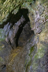 Inside Dambovicioara cave, Piatra Craiului  mountains, Piatra Craiului National ParkInside Dambovicioara cave, Piatra Craiului  mountains, Piatra Craiului National Park