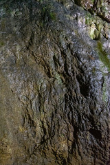 Inside Dambovicioara cave, Piatra Craiului  mountains, Piatra Craiului National ParkInside Dambovicioara cave, Piatra Craiului  mountains, Piatra Craiului National Park
