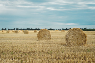 Summer meadow landscape with yellow golden bales of hay bale in the stubble field. Agricultural field and a blue sky with clouds.