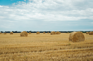 Summer meadow landscape with yellow golden bales of hay bale in the stubble field. Agricultural field and a blue sky with clouds.