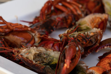 Crayfish. Red boiled crawfishes. Lobster closeup. closeup claw lobster 