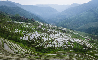Rice terraces, Guilin Longji
