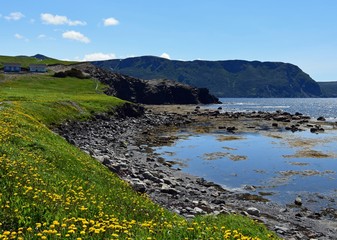 view across the bay towards Bonne Bay near Rocky Harbour; scene along the Viking trail in the Gros Morne National Park, Newfoundland Canada