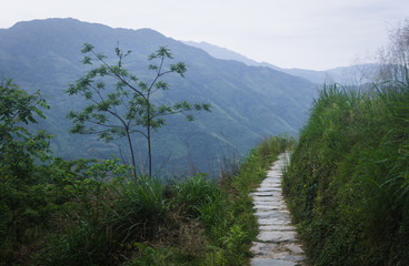 Road, Guilin Longji
