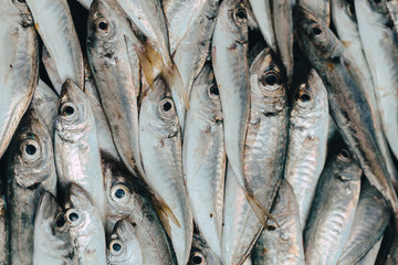 Obraz premium Fresh organic fish on ice on the market on dark vintage background close-up.