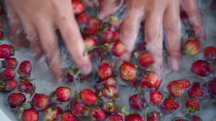 Childs hand washs small strawberries in bowl. Puts net berries in a colander