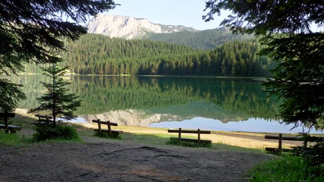 Black Lake, Durmitor National Park, Montenegro. View of the lake, a pine forest, Mount Durmitor (Dinaric Alps) in the morning. Steadycam shot, UHD