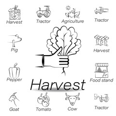 harvest hand draw icon. Element of farming illustration icons. Signs and symbols can be used for web, logo, mobile app, UI, UX