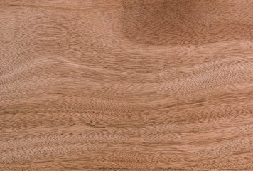 nature  pattern of teak wood decorative furniture surface