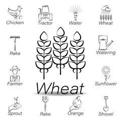wheat hand draw icon. Element of farming illustration icons. Signs and symbols can be used for web, logo, mobile app, UI, UX