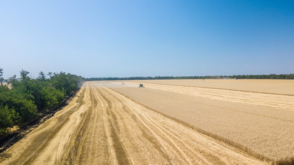 Fototapeta na wymiar Combine harvesting: aerial view of agricultural machine collecting golden ripe wheat on the field.