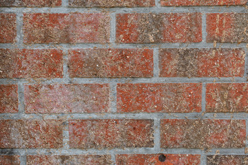 prefabricated brick wall with traces of old Ivy
