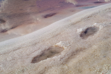 Production of rose salt, salt lakes with algae and mud. It is considered to be the most useful in the world organic plant raw materials for the production of cosmetics, medicines, medical products .