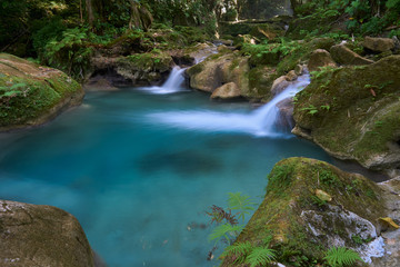 Beautiful pool of water in the Jamaican jungle at Reach Falls