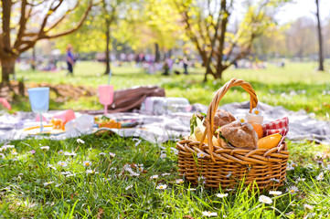 Lunch in the park on the green grass. Summer sunny day and picnic basket. Copy space.