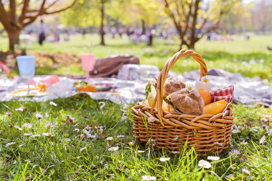 Lunch in the park on the green grass. Summer sunny day and picnic basket. Copy space.