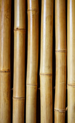 Fototapeta premium bamboo fence background. bamboo texture