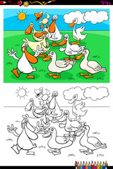 ducks farm animal characters group color book