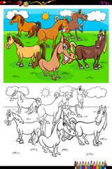 horses farm animal characters group color book