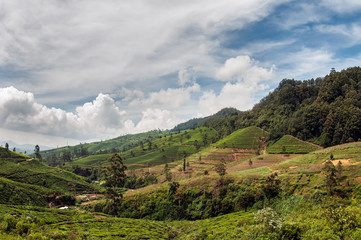 Hilly landscape