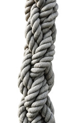 rope with knot isolated on white background