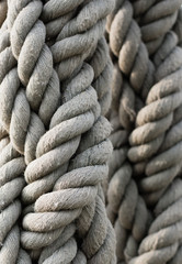 rope with knot texture  closeup