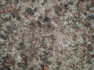 Grey wall made of marble aggregate with small crumbs, close up view.
