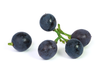 Grains de raisin noir