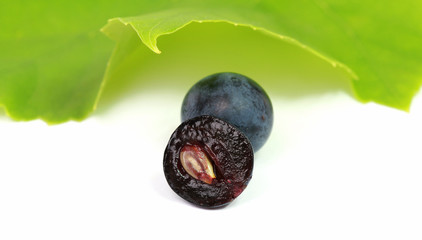 Grains de raisin noir