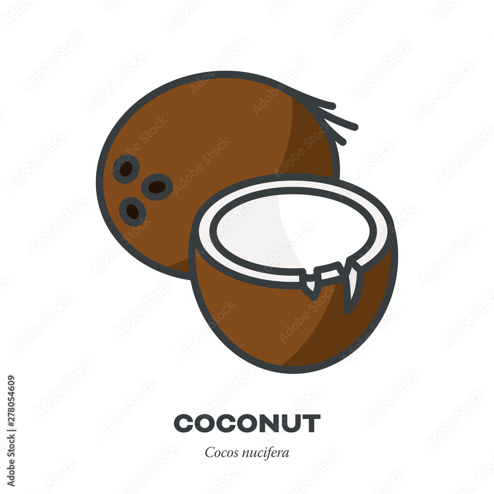 Wall mural Coconut icon, filled outline style vector - Wall murals