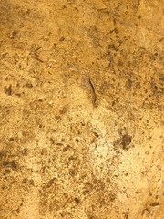 Textured a wall of beige color