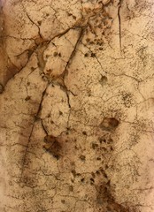 Textured a wall of beige color