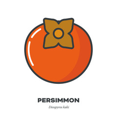 Persimmon fruit icon, filled outline style vector