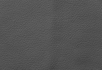 Fototapeta premium leather