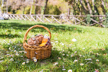 Lunch in the park on the green grass. Summer sunny day and picnic basket. Copy space.