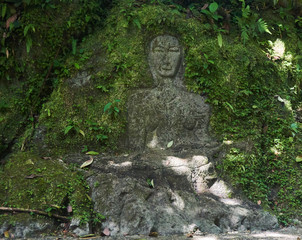 Stone carving in the Jungle of a remote island
