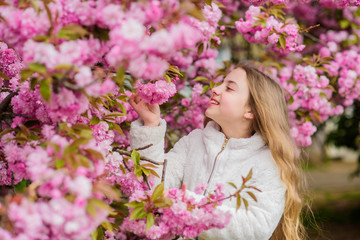 Sniffing flowers. Child enjoy warm spring. Girl enjoying floral aroma. Kid on pink flowers of sakura tree background. Botany concept. Kid enjoying cherry blossom sakura. Flowers as soft pink clouds