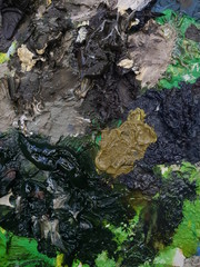 the texture of the oil paint palette artist