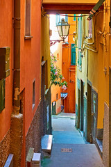 Fototapeta na wymiar Old colorful narrow street in Riomaggiore