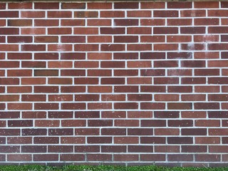 Brick wall with grass. Photo image