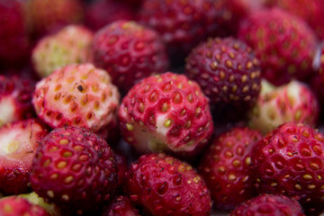 A large number of ripe strawberries. A close-up photo of red strawberries. Summer background with the image of wild strawberries.