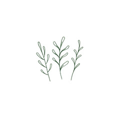 Green fern cute illustration