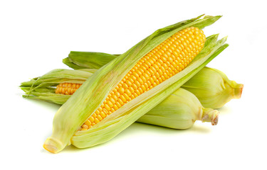 Corn in the leaves isolated on white background.
