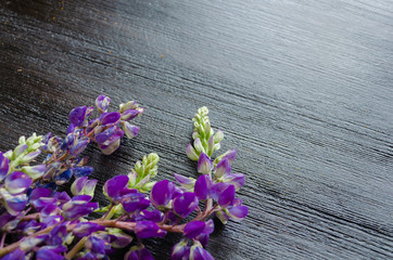 Wild flowers on wooden background with copy space