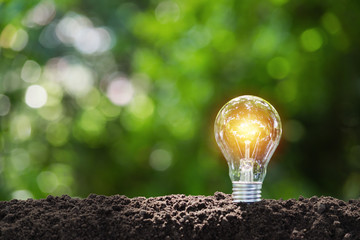 Light bulb with coins concept put on the soil under green nature background.