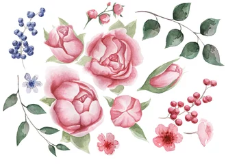 Behang Rozen Set bloemen elementen. Bloemen roze pioenrozen, groen, bordeaux, blauw blad. Zacht concept met bloemen. Aquarelarrangementen voor wenskaarten of uitnodigingen